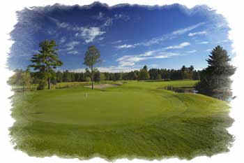 wpe1.jpg (10322 bytes)