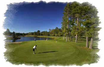 wpe2.jpg (9926 bytes)