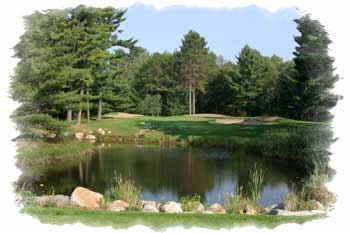 wpe5.jpg (12266 bytes)